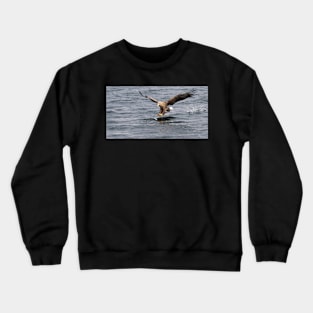 White tailed eagle fishing Crewneck Sweatshirt